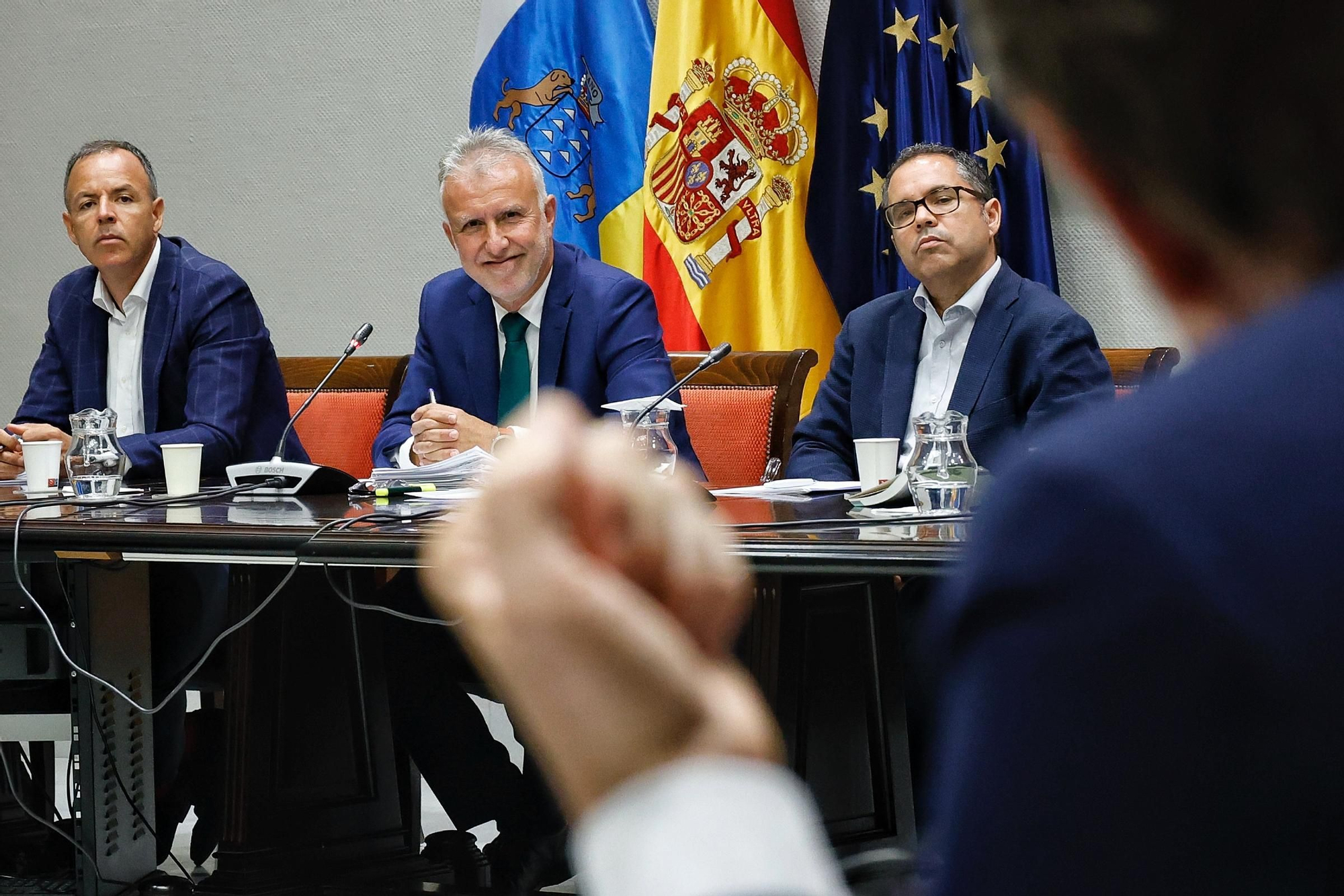 Comparecencia de Ángel Víctor Torres en el Parlamento de Canarias