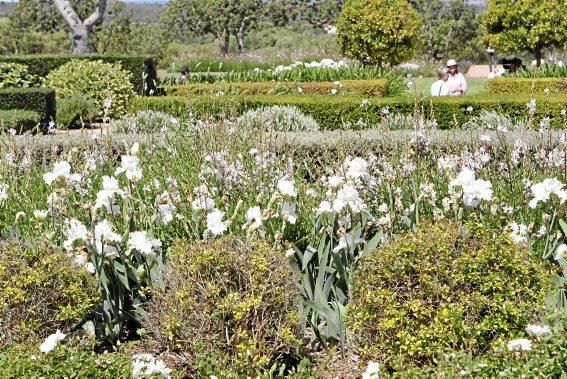 Gartenarchitektin Andi Lechte zeigt einer Reisegruppe ein Anwesen bei Santanyí. Der Entwurf stammt aus ihrer Feder.