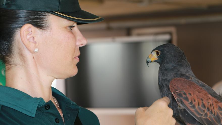 La Guardia Civil organiza en Baleares una jornada educativa sobre la protección animal