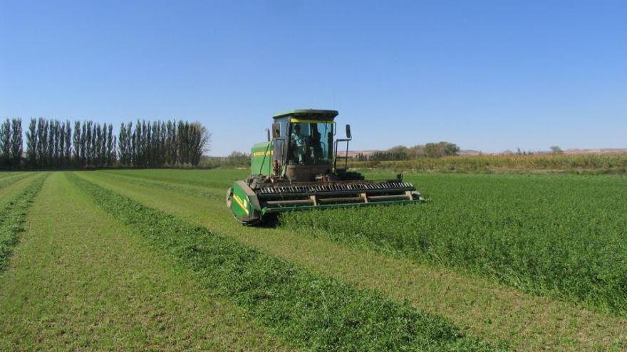 Los bloqueos entre EE.UU y China impulsan la exportación de alfalfa