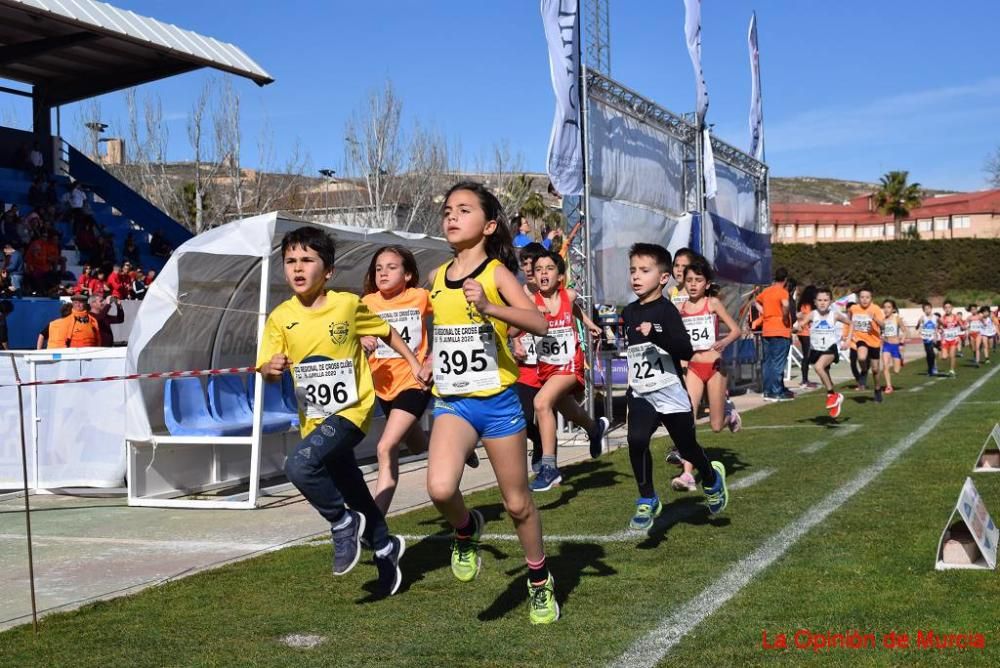 Cross de Jumilla 5