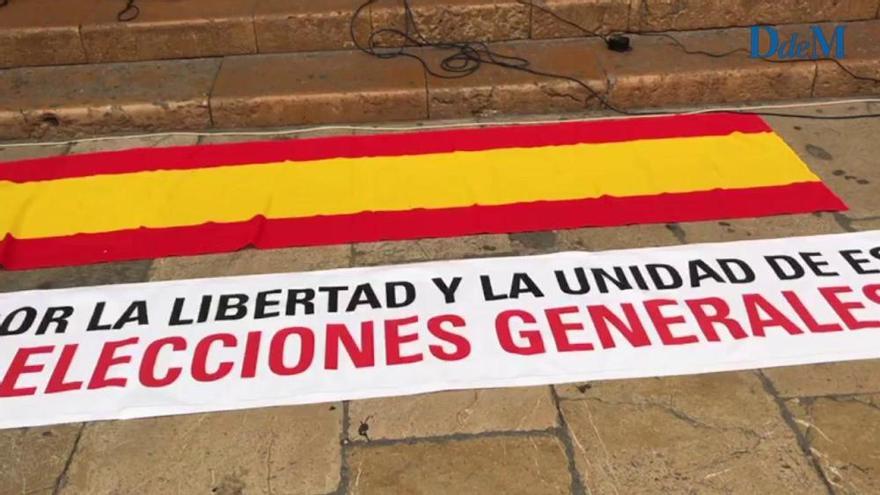 Unas 120 personas piden en Palma "elecciones ya"