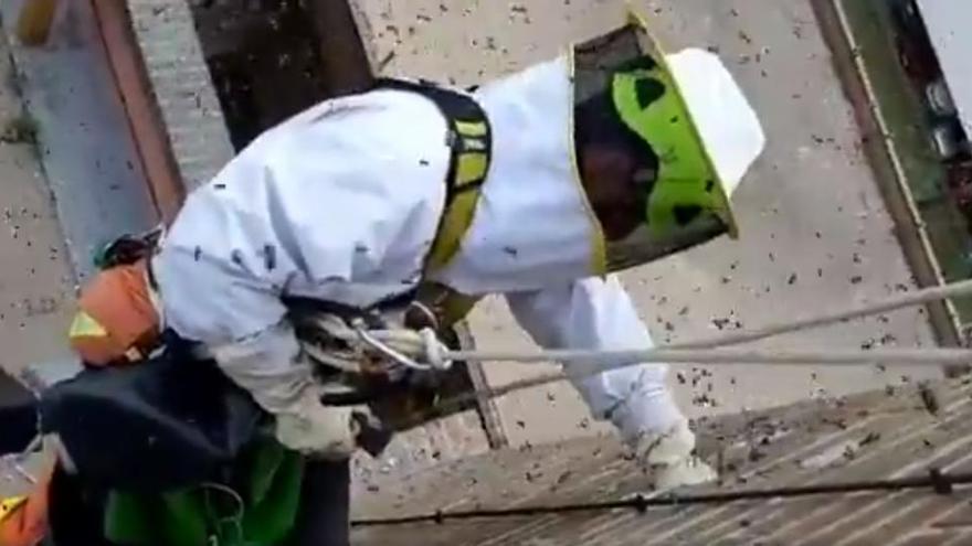 Un bombero retirando la colmena de abejas en la fachada del Hospital de Xàtiva.