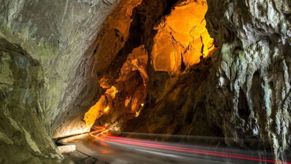 Los paisajes de esta cueva no te dejarán indiferente gracias a la cantidad de flora y fauna presente en ella