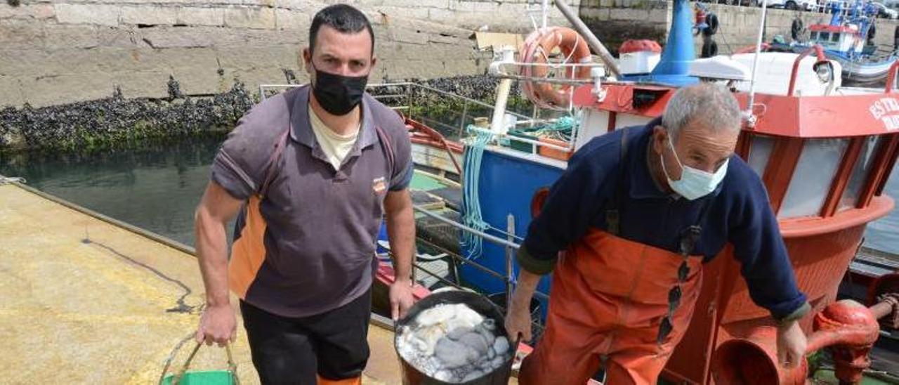 Los tripulantes de un barco de Bueu descargan ayer sus capturas en la lonja de Cangas. |   // G.NÚÑEZ