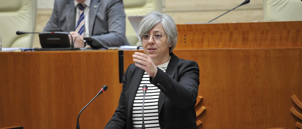 La consejera de Movilidad, Transporte y Vivienda, Leire Iglesias, en la tribuna de la Asamblea.