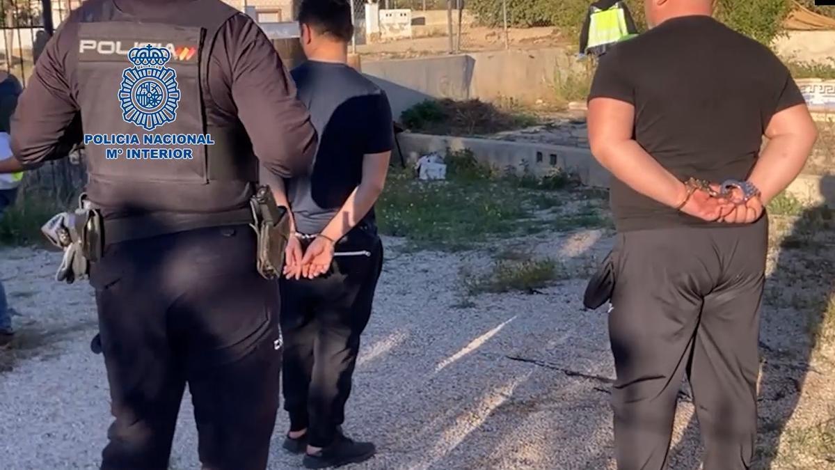 13 detenidos de un grupo que tenía 2.181 plantas de marihuana en casas de campo alquiladas en Alicante y Murcia