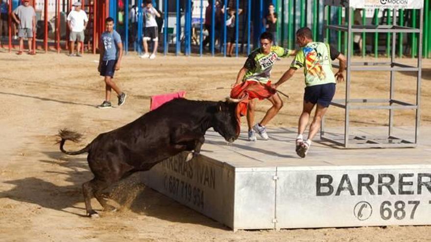 El Consell Jurídic pide una indemnización de 6.900 euros por una cogida de vaquilla