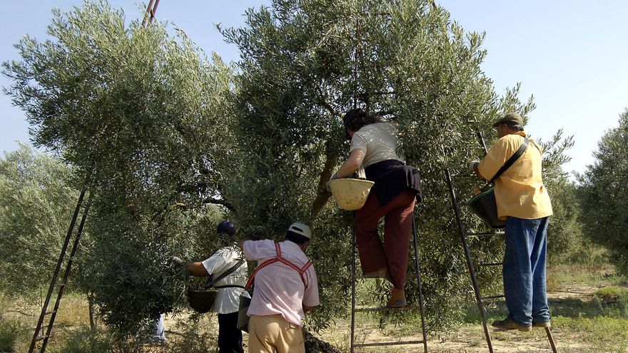 La economía andaluza cerrará 2024 con un alza del 2,8% gracias a la demanda interna y a la agricultura y el turismo