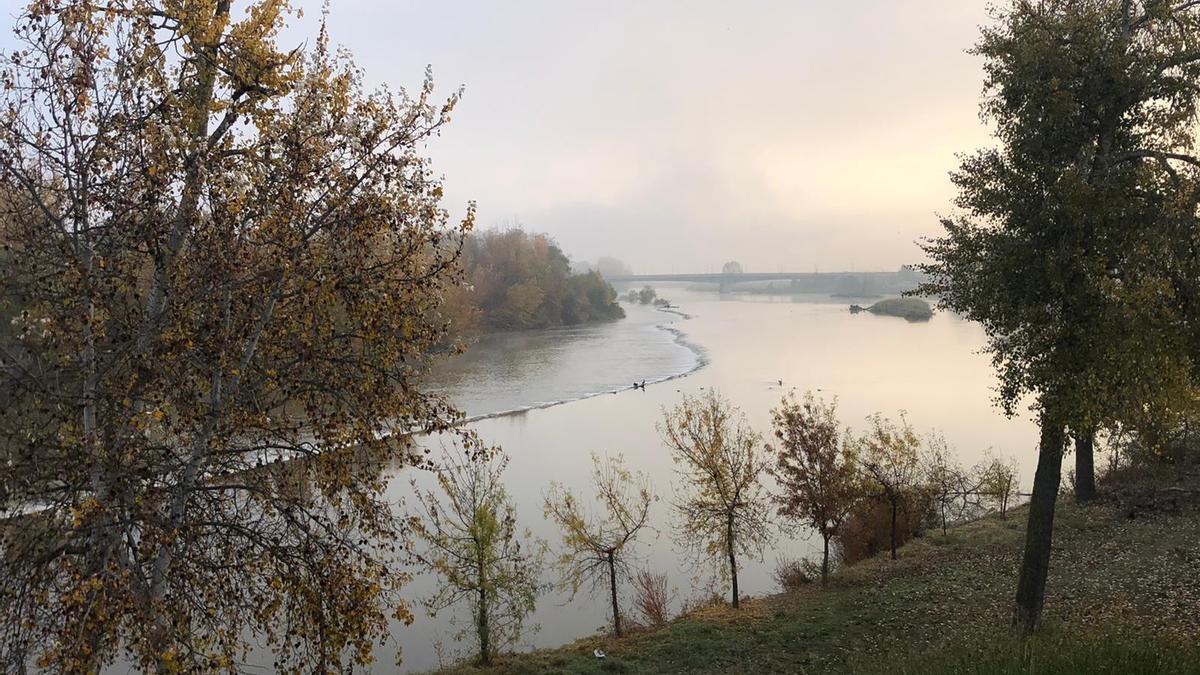 Niebla sobre el río Duero, esta mañana en Zamora.