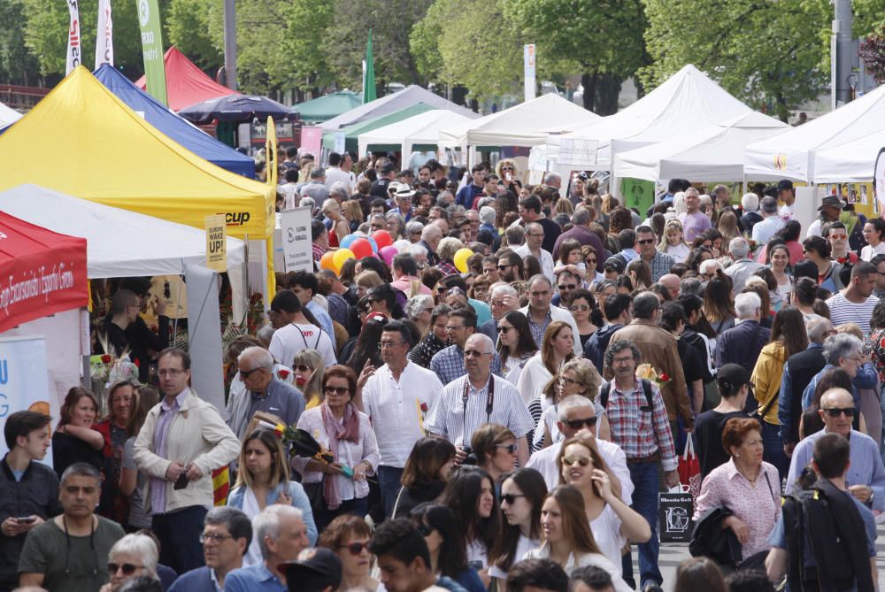 Sant Jordi a Girona