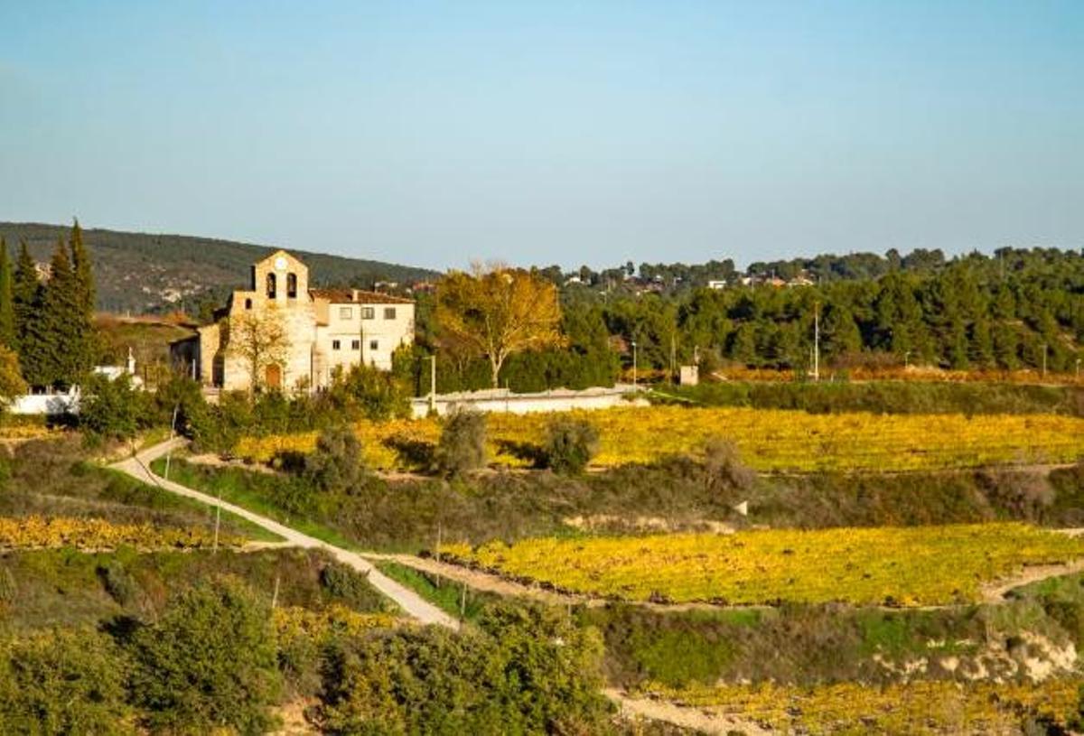 Imagen de la iglesia de Santa Magdalena de Canyelles
