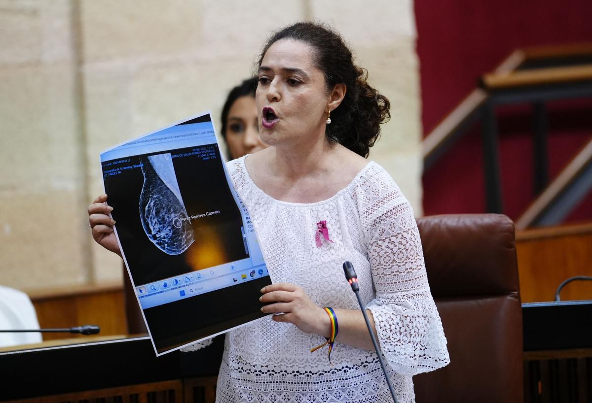 La portavoz del Grupo Por Andalucía, Inmaculada Nieto, interviene durante la sesión de control en el pleno del Parlamento andaluz.
