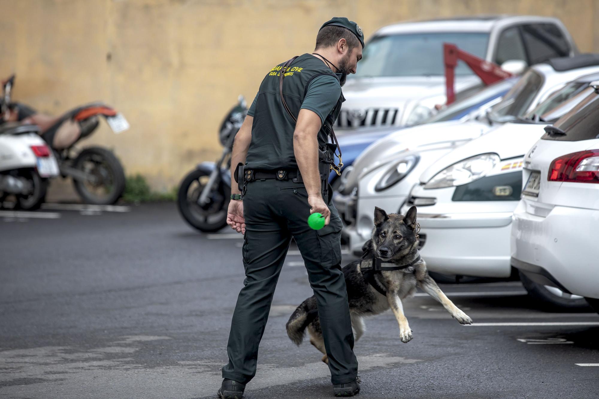 Unidad de Guías Caninos de la Guardia Civil