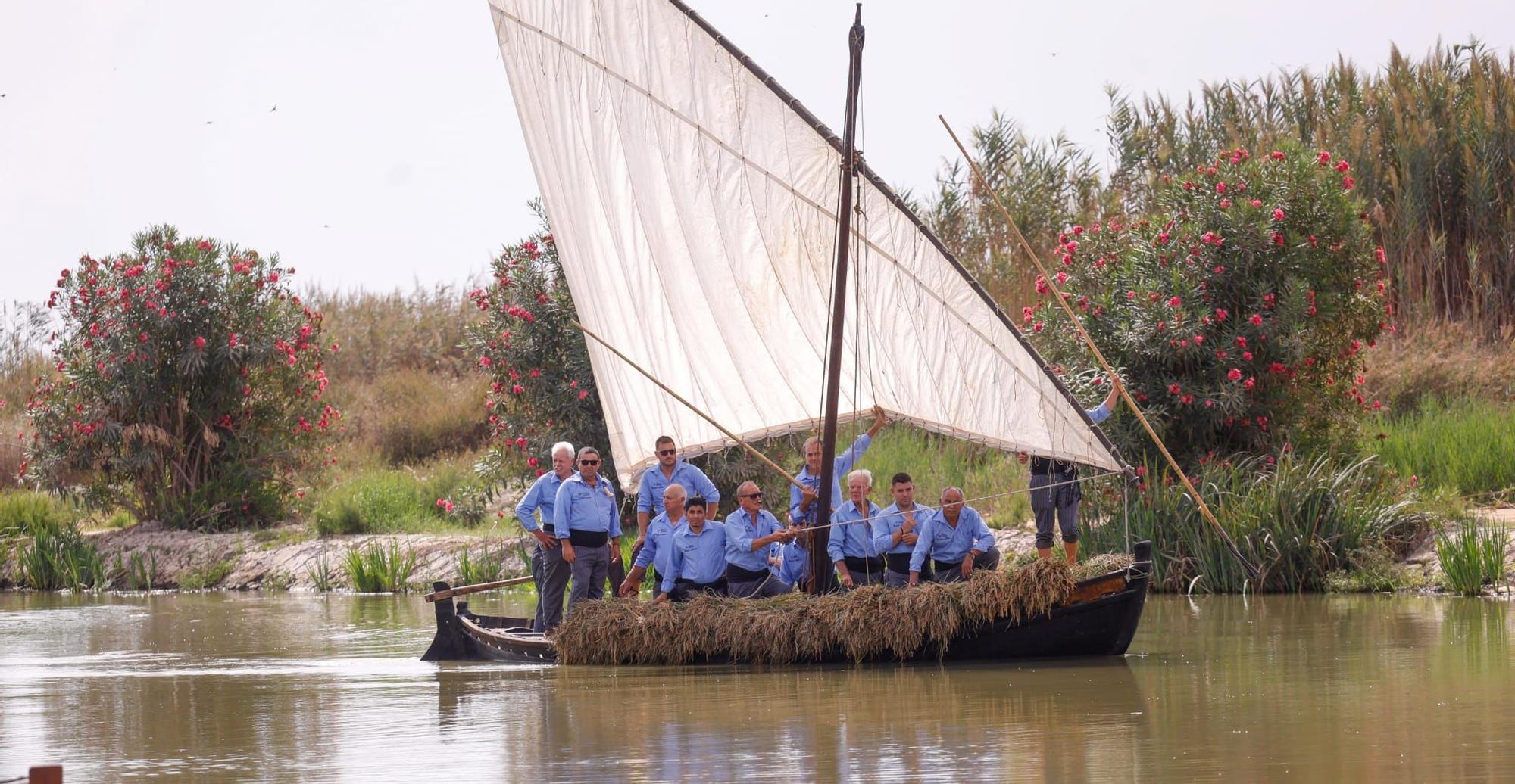 El puerto de Catarroja reúne a 5.000 personas en la Fiesta de la siega del arroz