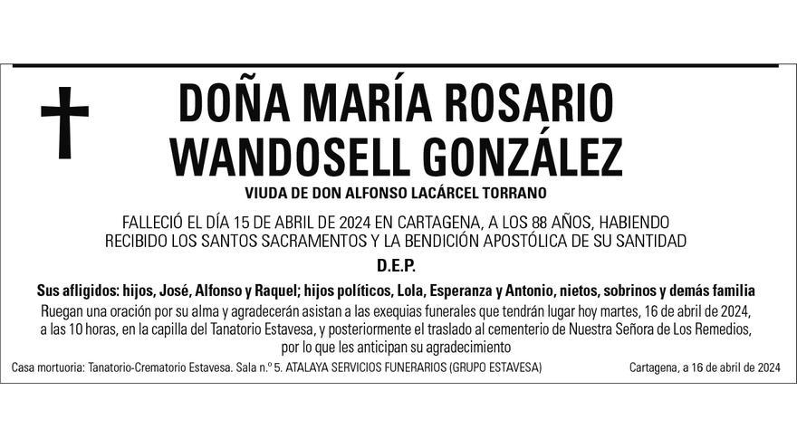 Dª María Rosario Wandosell González