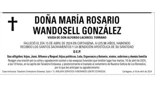 Dª María Rosario Wandosell González