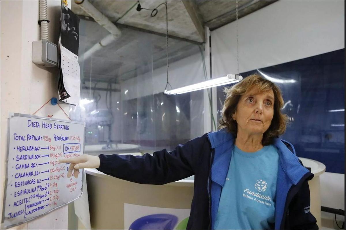 Belén Sans explica el contenido del “poro bebé” que las tortugas en crecimiento se alimentan con las pinzas.