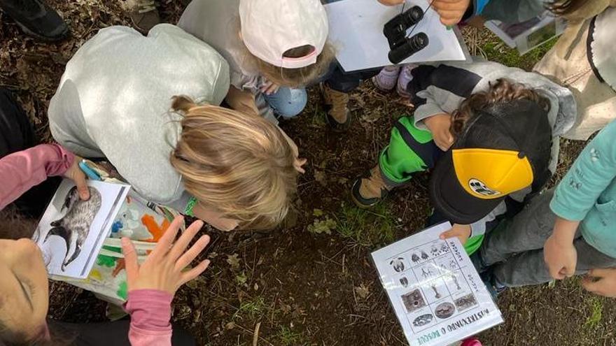 El aula de naturaleza de Udra programa en agosto rutas, paseos nocturnos y talleres familiares