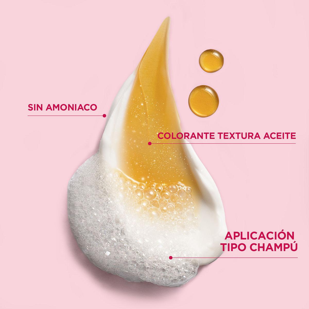 Color Shampoo Retouch de Garnier