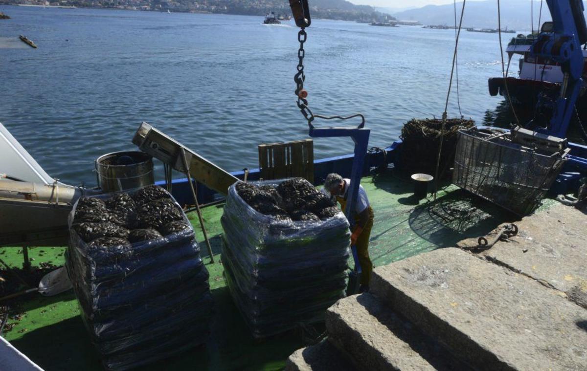 Descarga de varios palés desde un barco en A Mosqueira. | GONZALO NÚÑEZ