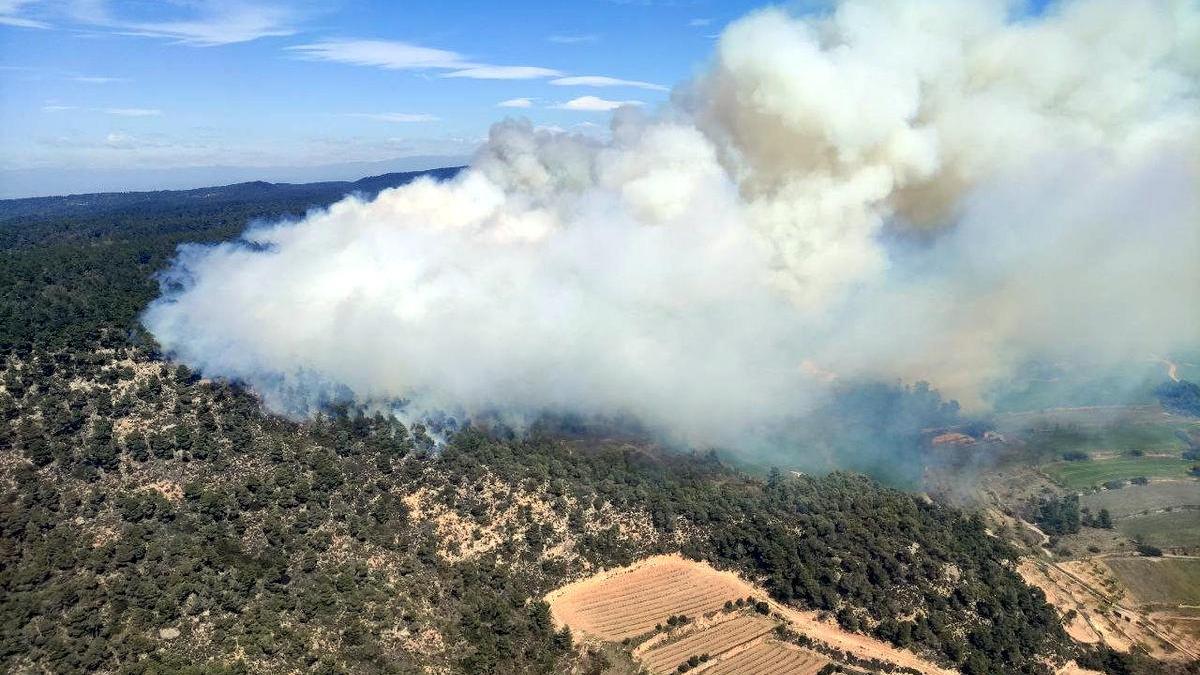 Imatge aèria de l&#039;incendi forestal de Senan, a la Conca de Barberà, el 21 de març del 2021