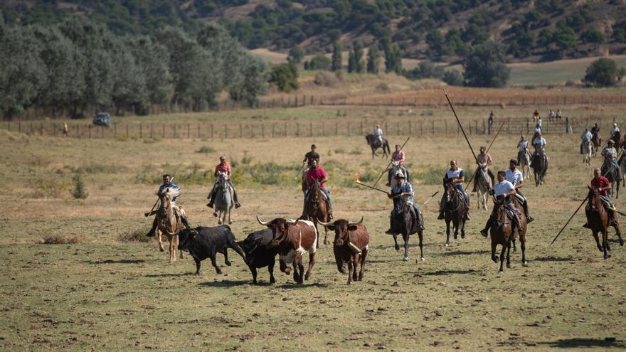 Venialbo se echa al campo