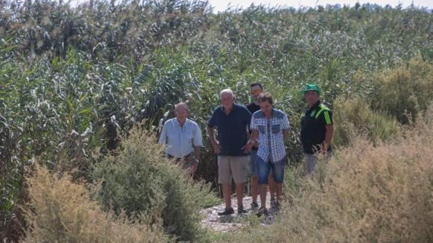 Algunos de los vecinos que denuncian el estado del cauce, que tiene obstruido el paso del agua.