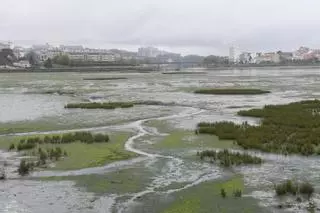 Finaliza la regeneración de la ría de O Burgo