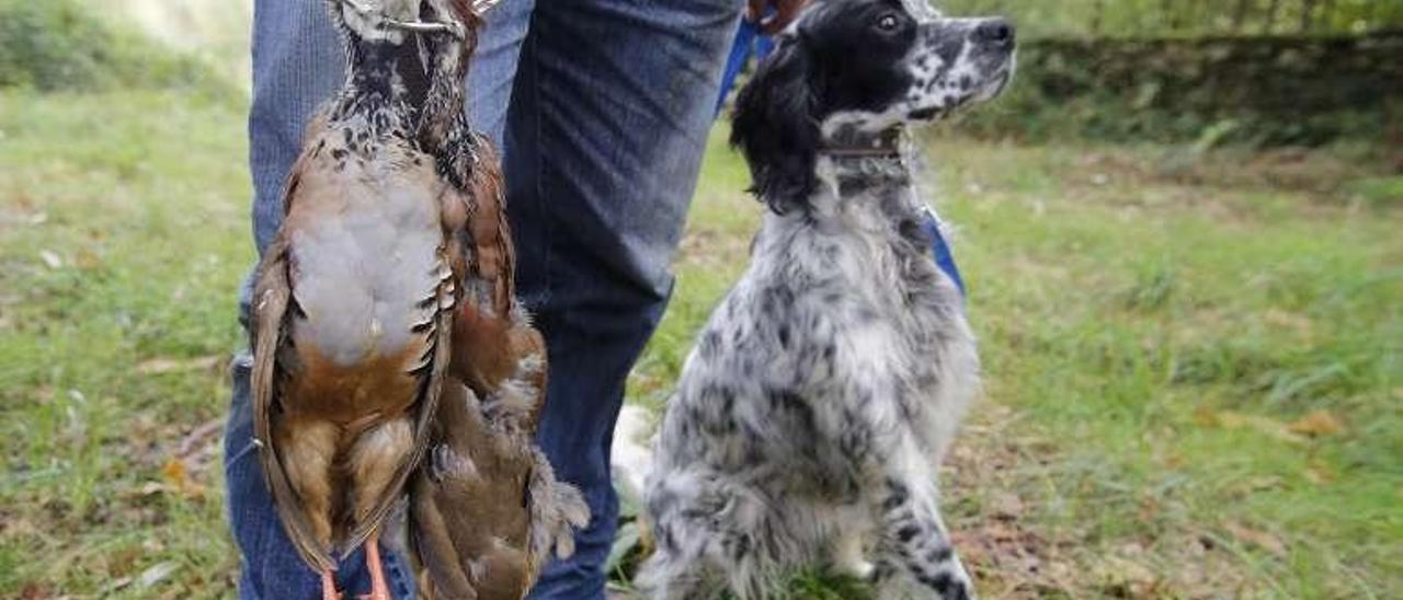 Un cazador apunta a una pieza, en montes de Lalín.