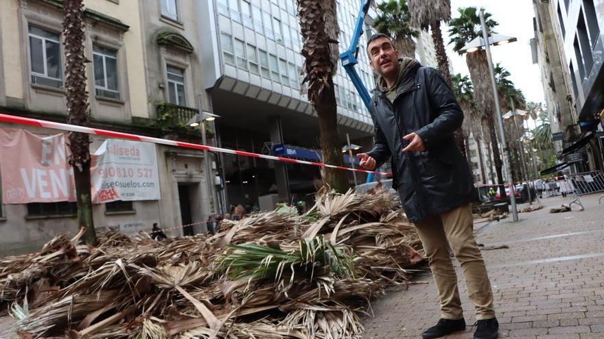 Inician la poda y saneamiento de las palmeras del centro urbano