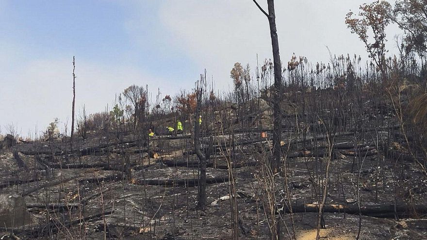 Activo un plan de choque para frenar la contaminación de los ríos tras los incendios