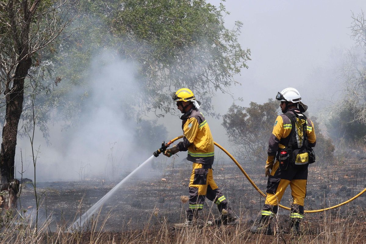 Alarma por un incendio en la rotonda de acceso a una discoteca en hora punta en la carretera de Sant Antoni