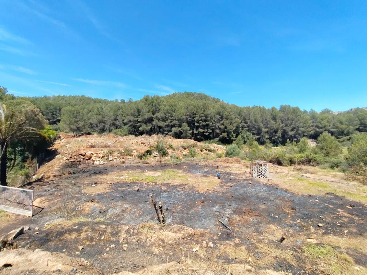Parcela en la que se declaró el incendio, en el corazón de les Valletes de Gallo, rodeada de masa forestal.