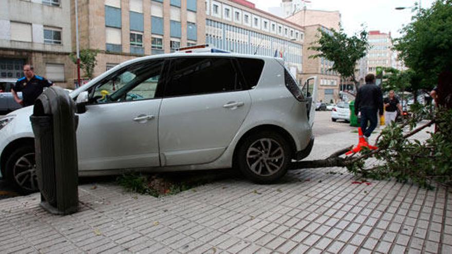 El coche que se subió a la acera y tiró un árbol. // Nick