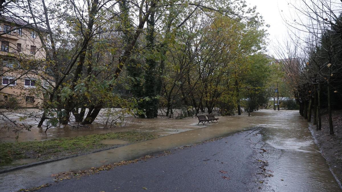 El río Ibaizabal a la altura de Galdakao.