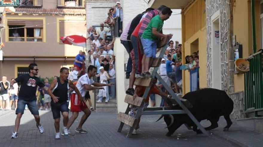 Unos aficionados se esconden de uno de los novillos.