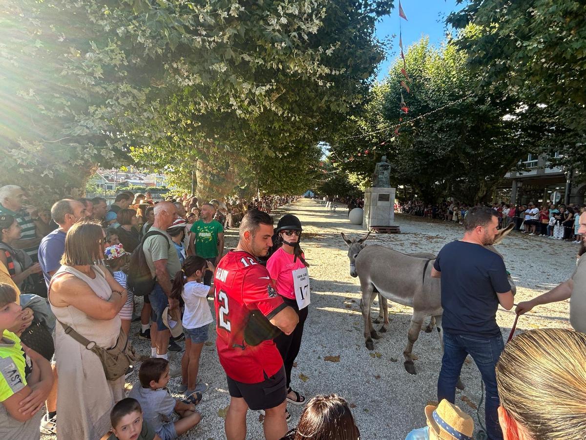 O Gran Derbi Asnal regresa a Padrón en clave de homenaxe aos burros fariñeiros