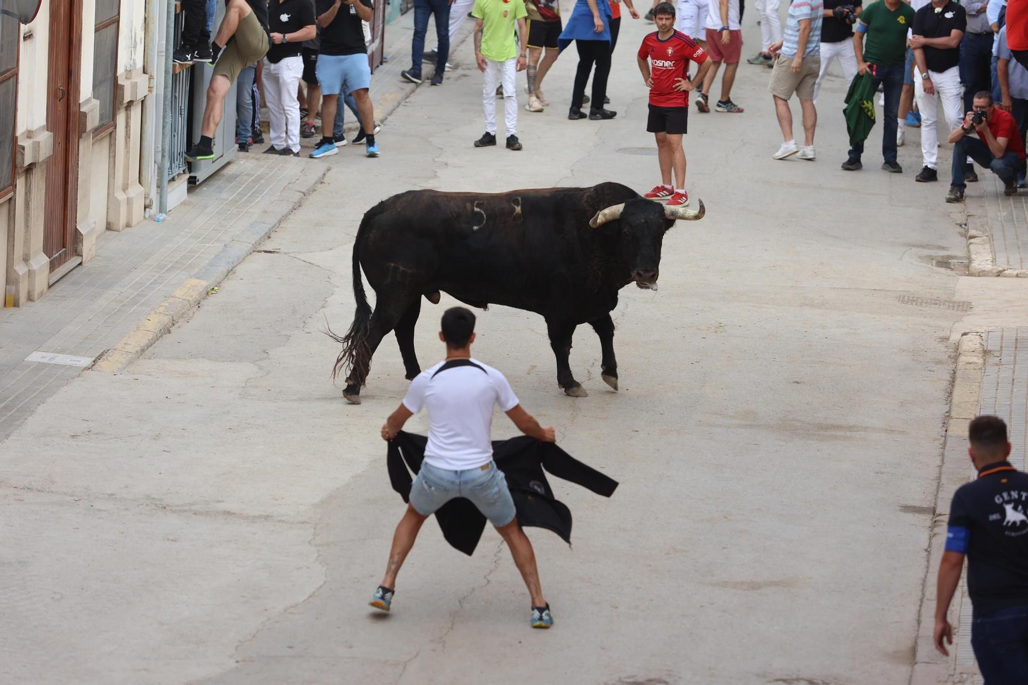 Las imágenes del ciclo taurino de Santa Quitèria en Almassora