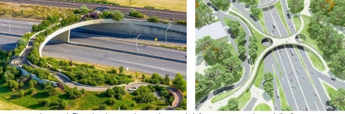 Pasarela que integra infraestructura verde Pasarela que integra infraestructura verde