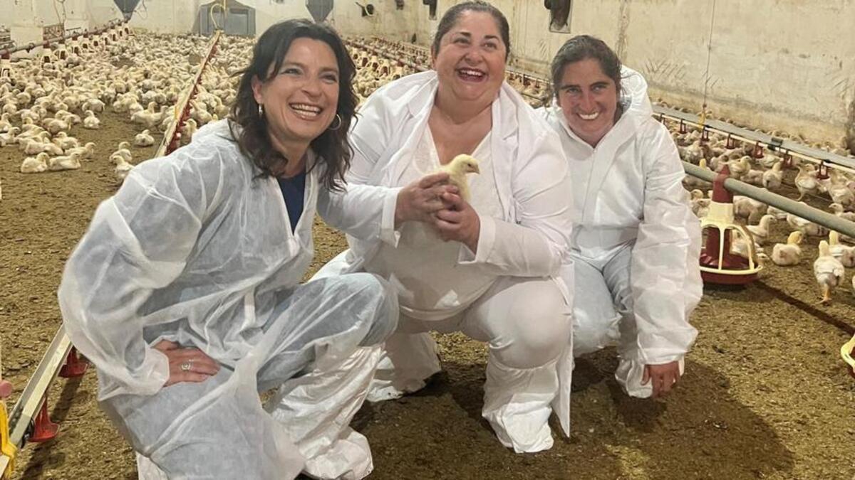 Pola esquerda, Marta Lores, coordinadora do proxecto; Carmen Carpinteiro, directora de Rivadulla; e Raquel García, veterinaria da empresa