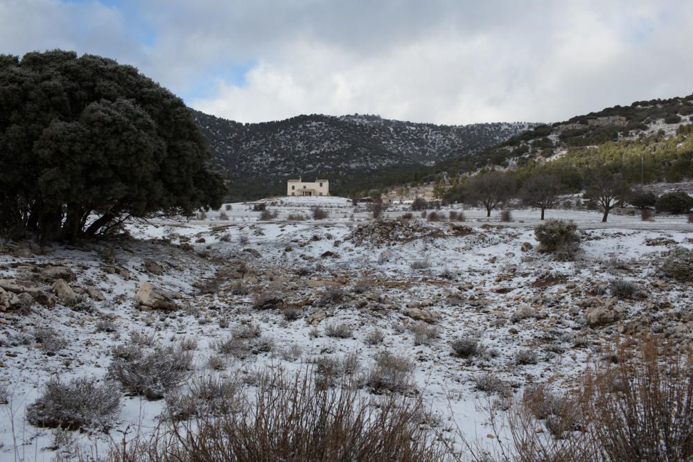 Primeras nieves en la Región