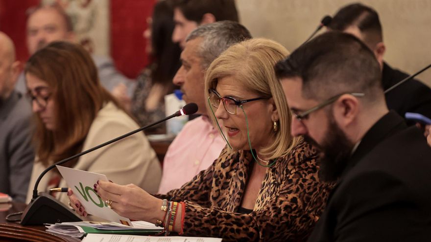 División (otra vez) en el Ayuntamiento ante el 8M: cuatro años sin acuerdo por el Día de la Mujer