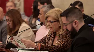 División (otra vez) en el Ayuntamiento ante el 8M: cuatro años sin acuerdo por el Día de la Mujer