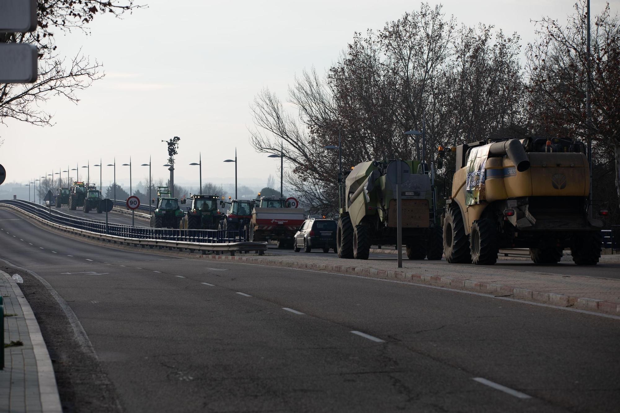 GALERÍA | Tractorada en Zamora: las mejores imágenes de un martes histórico para el campo de la provincia