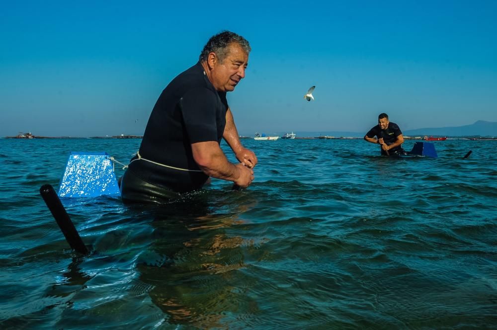 El marisqueo también genera turismo