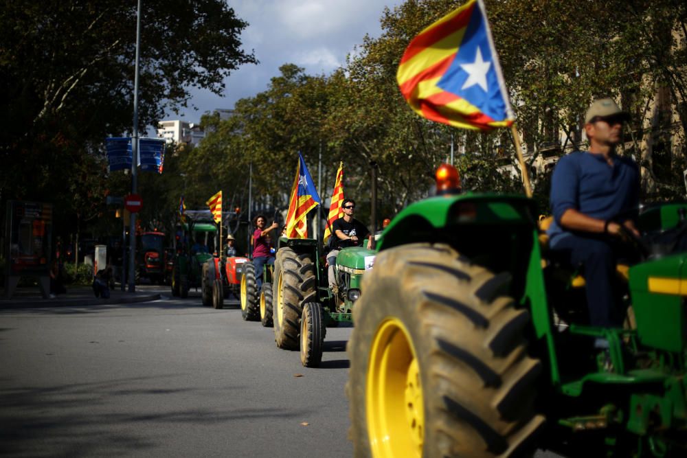 Les millors fotos de la compareixença de Puigdemont