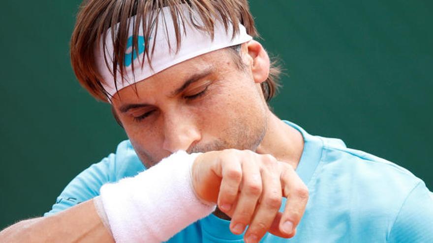 David Ferrer