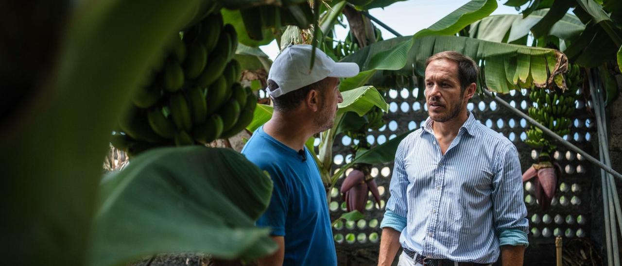 Mariano Hernández Zapata (PP), presidente del Cabildo de La Palma, conversa con un platanero durante una visita a una finca del Valle de Aridane. | | ANDRÉS GUTIÉRREZ