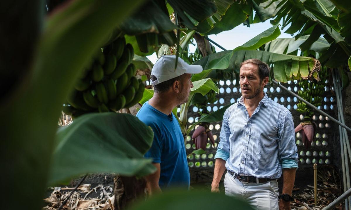 Mariano Hernández Zapata (PP), presidente del Cabildo de La Palma, conversa con un platanero durante una visita a una finca del Valle de Aridane. | | ANDRÉS GUTIÉRREZ